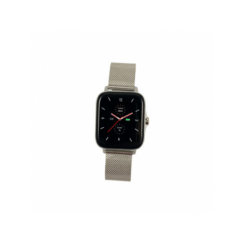 Viedpulkstenis FW55 Silver