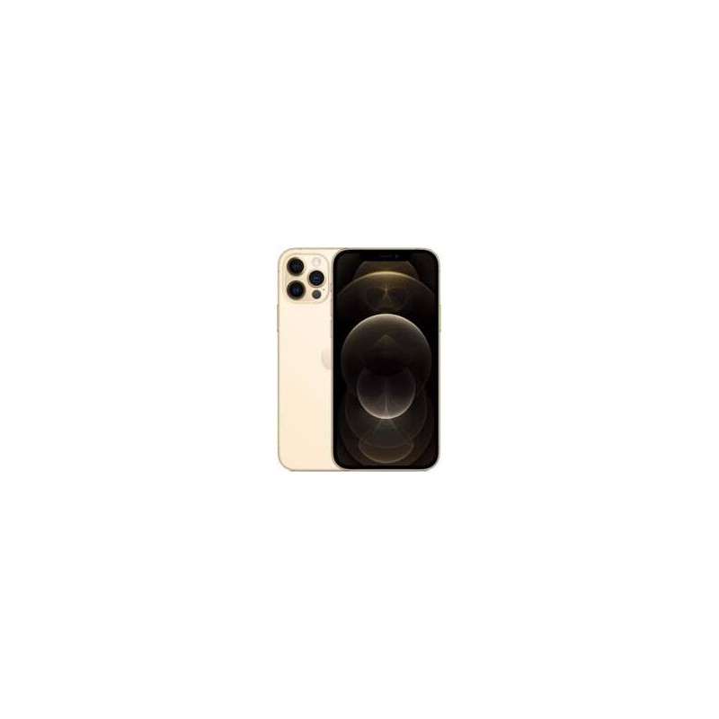 Mazlietots telefons (Marginal) Apple iPhone 12 Pro Max 256GB Zelta