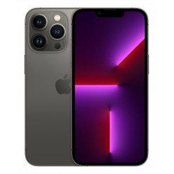 Mazlietots telefons (Marginal) Apple iPhone 13 Pro Max 256GB Graphite Gray